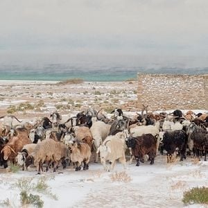 Foto Dreams of the Salt Lake