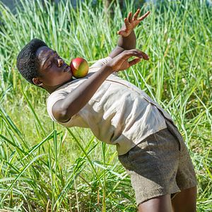 Foto Pelé - O Nascimento de uma Lenda