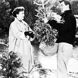 Foto Tudo Que o Céu Permite