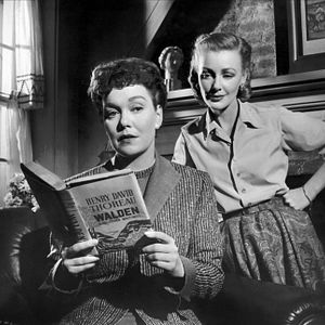 Foto Tudo Que o Céu Permite