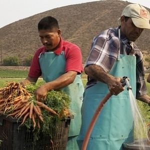 Foto A Fé nos Orgânicos