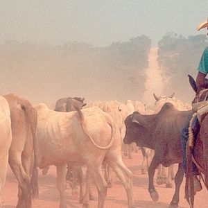 Foto Amazônia Desconhecida