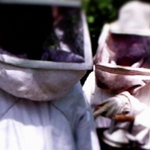 Foto O Veneno está na Mesa 2