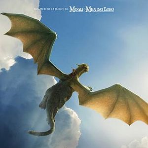 Foto Meu Amigo, O Dragão