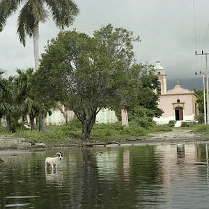 Foto Los reyes del pueblo que no existe