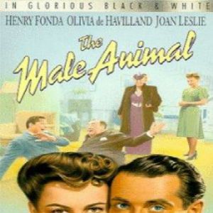 Foto Assim é que Elas Gostam