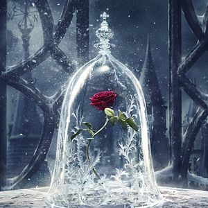 Foto A Bela e a Fera