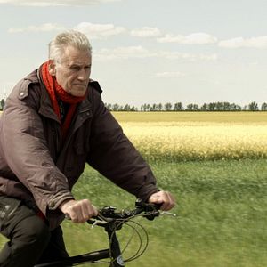 Foto Rudolf Thome – Flowers Everywhere