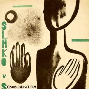 Foto The Sun in a Net