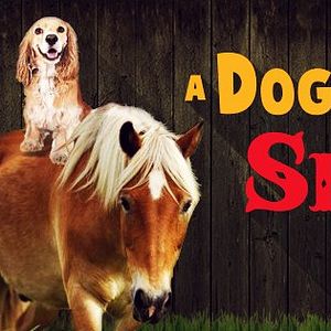 Foto A Dog & Pony Show