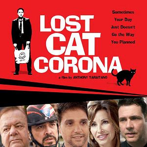 Foto Lost Cat Corona