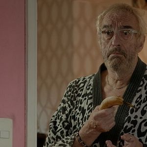 Foto Os Golfinhos Vão Para o Leste