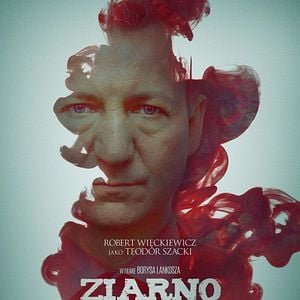 Foto Um Grão de Verdade