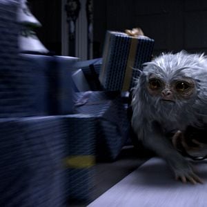Foto Animais Fantásticos e Onde Habitam
