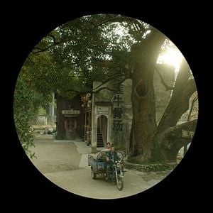 Foto Eu Não Sou Madame Bovary