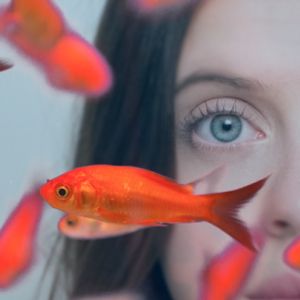 Foto O Mundo de Carrie Pilby