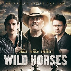 Foto Cavalos Selvagens