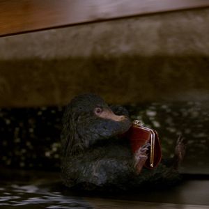 Foto Animais Fantásticos e Onde Habitam