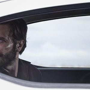 Foto Animais Noturnos