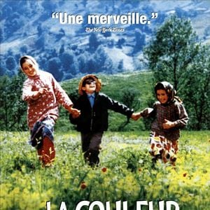 Foto Cor do Paraíso