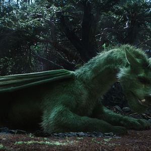 Foto Meu Amigo, O Dragão