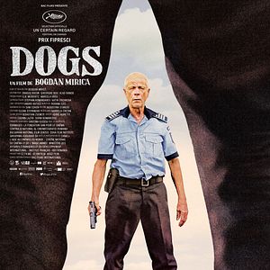 Foto Dogs
