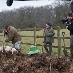 Foto Rats: Realidade Urbana