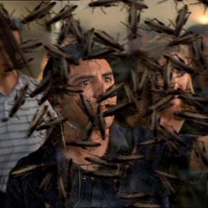 Foto Locusts - O Dia da Destruição