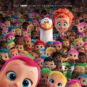 Foto Cegonhas - A História que Não te Contaram