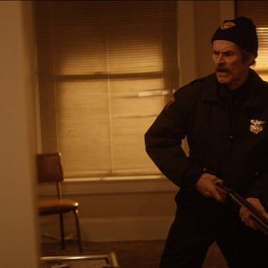 Foto Cães Selvagens