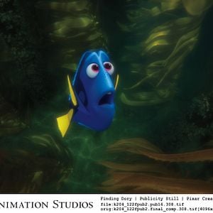 Foto Procurando Dory