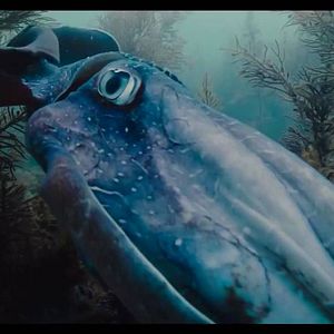 Foto Voyage of Time: Life's Journey