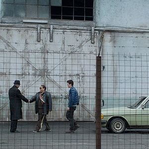 Foto Cães De Guerra