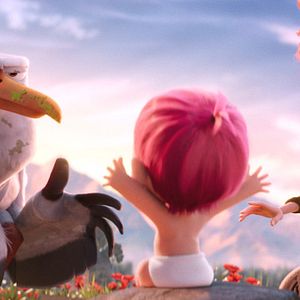 Foto Cegonhas - A História que Não te Contaram