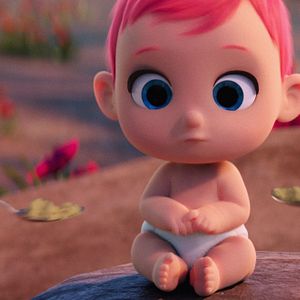 Foto Cegonhas - A História que Não te Contaram