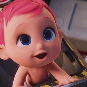 Foto Cegonhas - A História que Não te Contaram