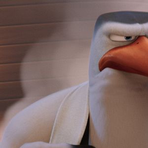 Foto Cegonhas - A História que Não te Contaram