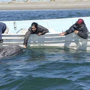 Foto Úrsula Pruneda