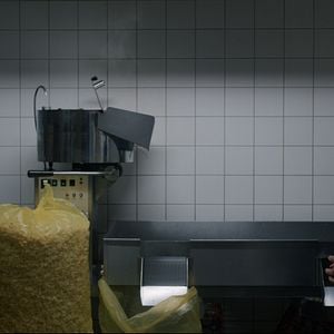 Foto Samuel Schneider