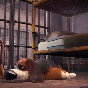 Foto As Aventuras de Ozzy