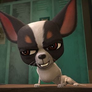 Foto As Aventuras de Ozzy