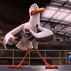 Foto Cegonhas - A História que Não te Contaram