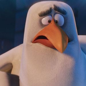 Foto Cegonhas - A História que Não te Contaram