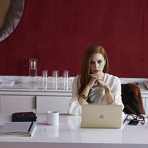 Foto Animais Noturnos