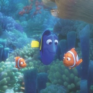 Foto Procurando Dory