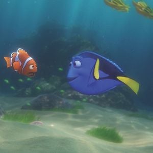 Foto Procurando Dory