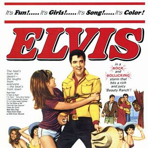 Foto Cavaleiro Romântico