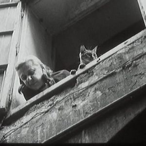 Foto Diamantes da Noite