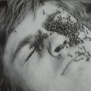 Foto Diamantes da Noite