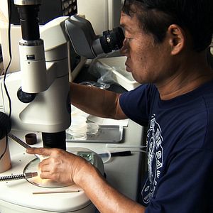 Foto Spira Mirabilis